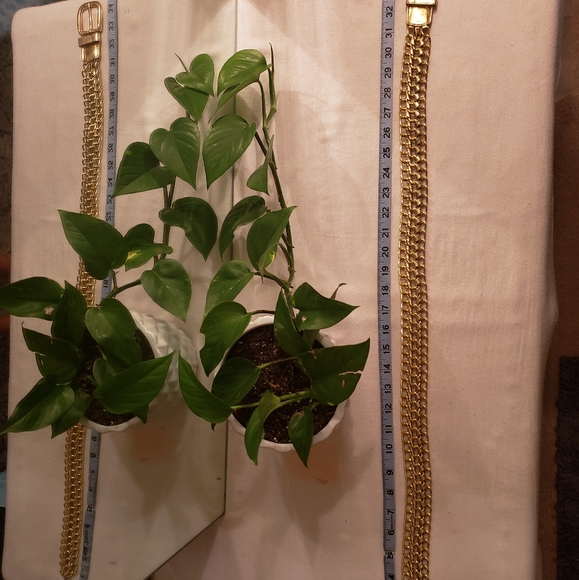 Belt - Picture 3 of 6